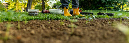 Unrecognizable female gardener standing in her ornamental backyard garden. Planting seedlings, starting cut flower garden. gardening as a hobby banner.の写真素材