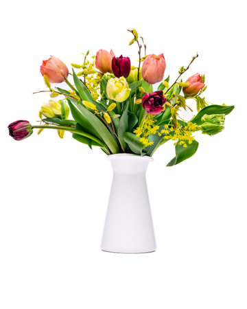 Elegant mixed tulips spring bouquet in white vase on white background. Spring tulips. Tulips bouquet cut out.の写真素材