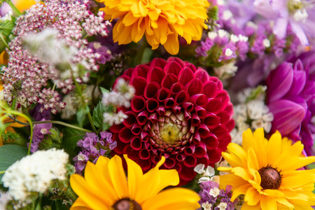 Summer bouquet. Beautiful multi colored fresh flower arrangement. Locally sourced flowers birthday bouquet close up.の写真素材