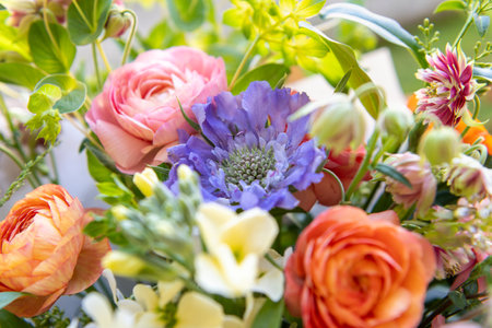 Spring mixed flower bouquet. Beautiful pastel colored fresh flowers arrangement. Birthday bouquet made of ranunculus, matthiola and scabiosa photographed outdoors.の写真素材