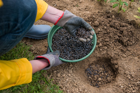 Preparing soil for planting, fertilizing with compressed chicken manure pellets. Organic soil...