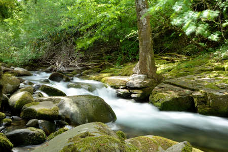 View of Torrente Solanoの写真素材