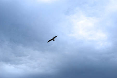 Odessa - Ukraineの写真素材