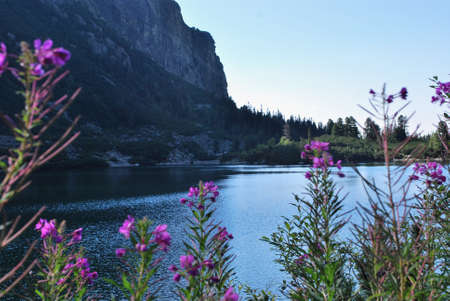 Slovakia - High Tatraの写真素材