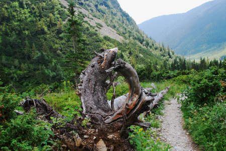 Slovakia - High Tatra mountainsの写真素材