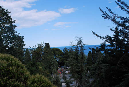 Ukraine - Crimea - Yaltaの写真素材