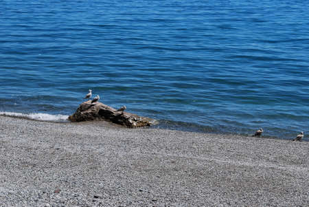 Yaltaの写真素材