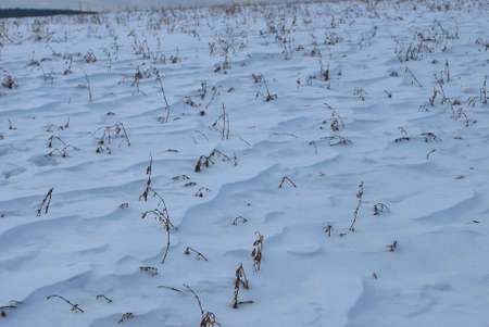 Slovakia - winter landscapeの写真素材