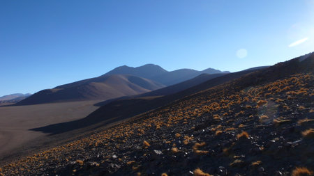 Atacama Desert Views beautiful Landscape Hill Grasの写真素材