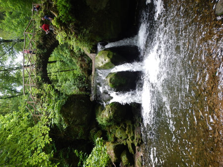 Mini Waterfall in River Green Forest beautyfulの写真素材