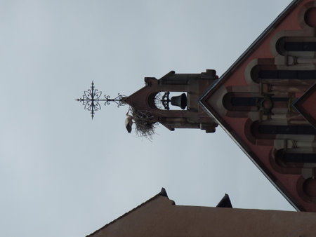 Stork on Roof of Church with Nest and Bellの写真素材