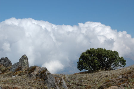 Andes Mountain Pass Clouds Blue Sky Grassの写真素材