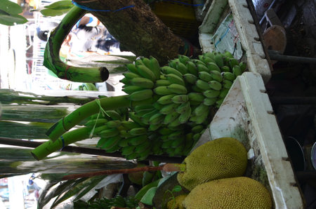 Green Banana thai fruits Or Tor Kor market in Bangko Thailand Or Tor Kor marketの写真素材