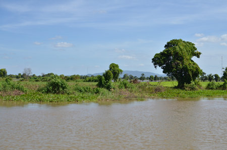 Coast of Mekong River phnom Phen Cambodia Sunny dayの写真素材