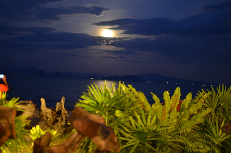 Horizon at Night Koh yao Noi Island Thailand Beach Longtail Boatの写真素材
