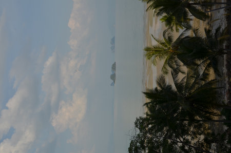 Horizon with palms Koh yao Noi Island Thailand Beach Longtail Boatの写真素材