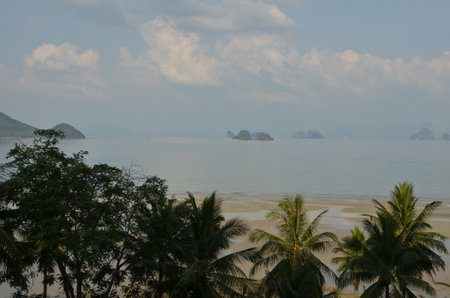 Horizon with palms Koh yao Noi Island Thailand Beach Longtail Boatの写真素材