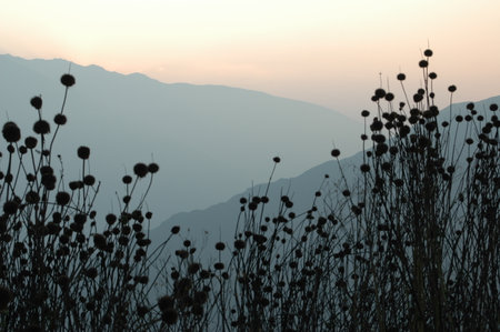Andes Sunset panorama Backgrounf Grass colorfull panoramaの写真素材