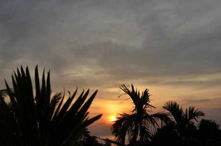 Sunset with palms thailand colorfull coast tropicalの写真素材