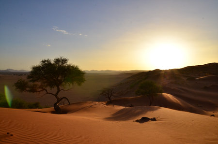 Amazing View from dune in dry pan of Sossusvlei Namib Naukluft National Parkの写真素材