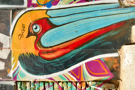Pelican Street art graffiti in Valparaiso Chile colorfullの写真素材