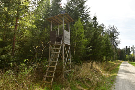 Hunting Hide in German Forest in Summer. High quality photoの写真素材