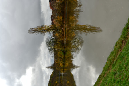 Vineyards on river Neckar in Stuttgart autumn fall Germany. High quality photoの写真素材