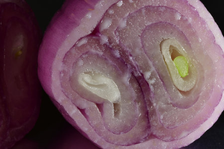 Red Onion Sliced on Steel Kitchen surface plate. High quality photoの写真素材