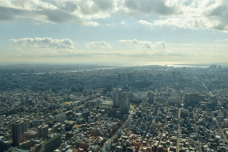 Tokyo City panorama from Sky Tree view from above. High quality photoの写真素材