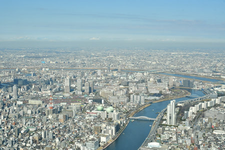 Tokyo City panorama from Sky Tree view from above. High quality photo