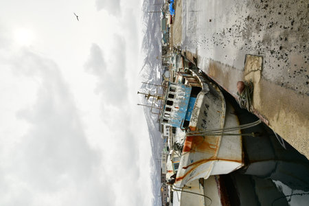 Squid fishing boat in Japanese Harbor iwanai on Hokkaido Lost Place. High quality photo