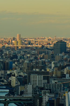 Tokyo city skyscrapers architecture asia landscape. High quality photo