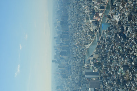 Tokyo City panorama from Sky Tree view from above. High quality photoの写真素材