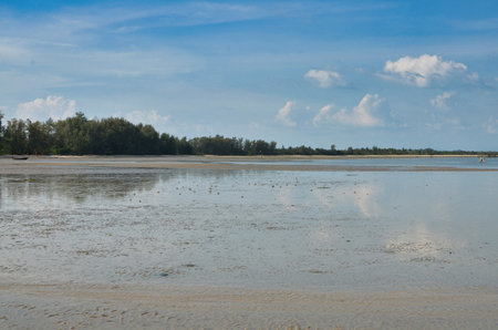 Beach of Thailand palms clouds asia. High quality photo