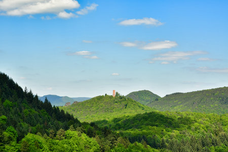 Green trees hills blue sky in forest germany spring. High quality photoの写真素材