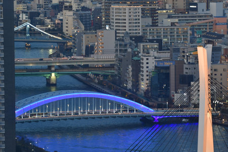 Tokyo city panorama metropolis cityscape asia. High quality photoの写真素材