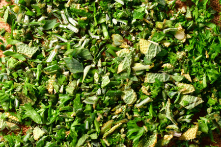 Fresh cutted Herbs green background detail aroma