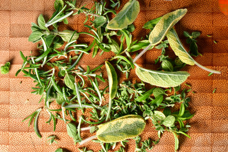 Fresh italian herbs on cutting board rosemary thyme sage oreganoの写真素材