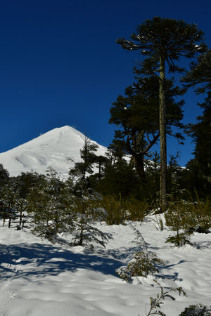 Llaima Vulcano Patagonia chile lake district ski top touring. High quality photoの写真素材