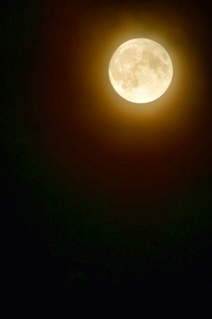 Moon yellow black beautiful background Astronomy picture. High quality photoの写真素材