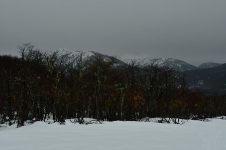 Cold mountain with snow and rain wet bad weather blizzardの写真素材