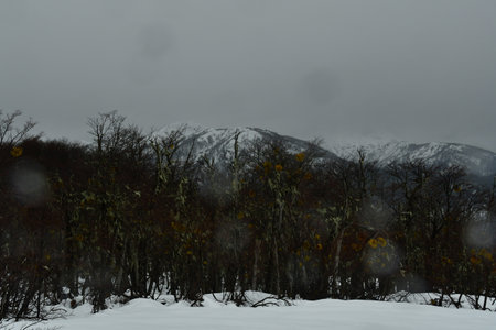 Cold mountain with snow and rain wet bad weather blizzardの写真素材