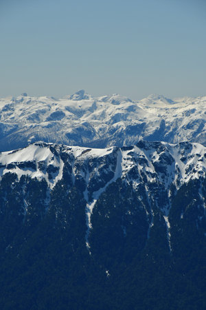 Snow mountain forest panorama background Patagonia Chile. High quality photoの写真素材