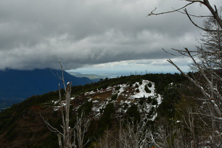 Puyehue winter ascent wet snow clouds forest ski adventure. High quality photoの写真素材