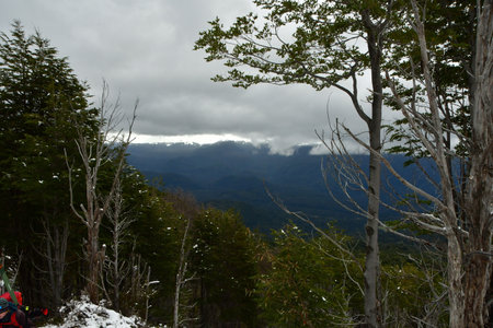 Puyehue winter ascent wet snow clouds forest ski adventure. High quality photoの写真素材