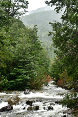 River in Rain with Forest and mountains. High quality photoの写真素材
