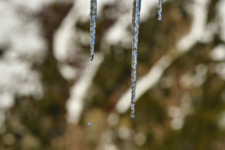 icicles in winter. High quality photo