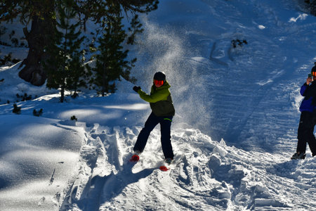 ski trick jump snow winter trees sport freeride. High quality photoの写真素材