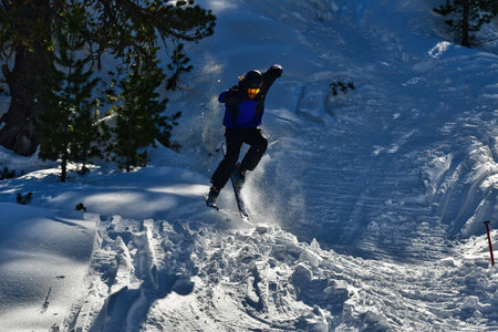 ski trick jump snow winter trees sport freeride. High quality photoの写真素材