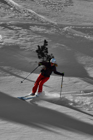 Women ski powder top touring speed fun snow. High quality photoの写真素材
